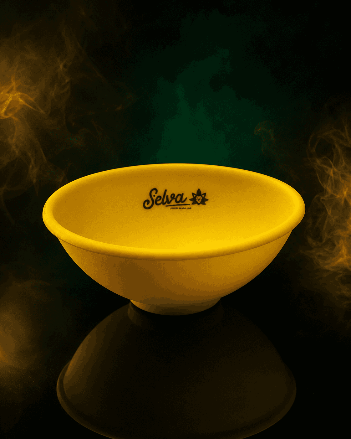 Silicone Bowl