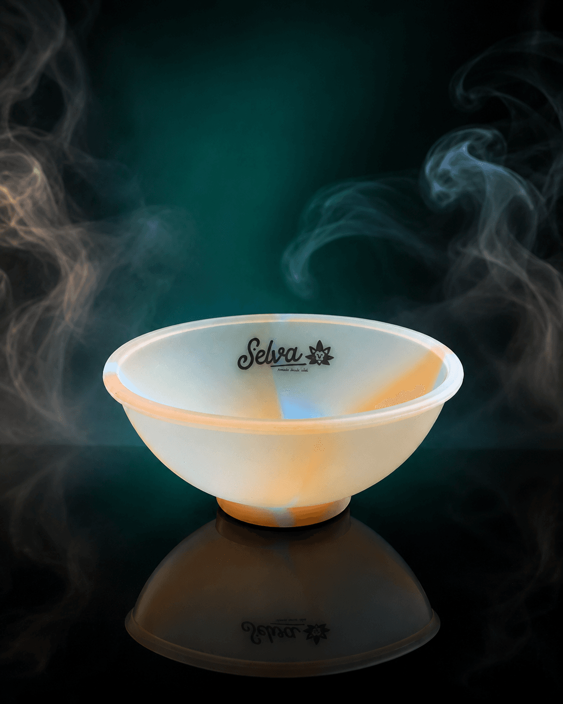 Silicone Bowl